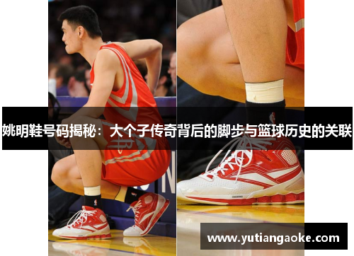 姚明鞋号码揭秘：大个子传奇背后的脚步与篮球历史的关联