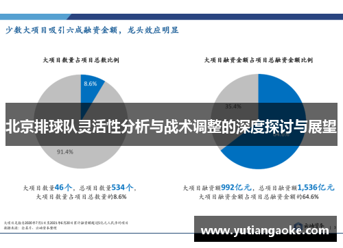 北京排球队灵活性分析与战术调整的深度探讨与展望
